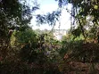 50x100ft Plot for Sale Near Kikuyu Road Shell - 5