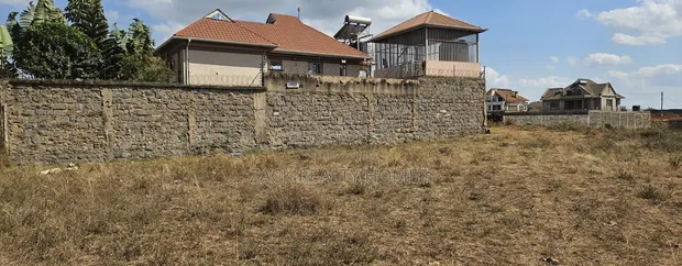 Vipande vya Tola - Ardhi ya Makazi 40x80 Inauzwa - 1