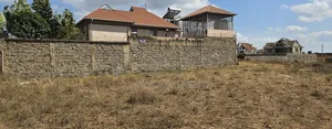 Vipande vya Tola - Ardhi ya Makazi 40x80 Inauzwa