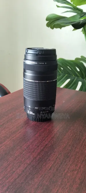 Canon EF 75-300mm Zoom Lens