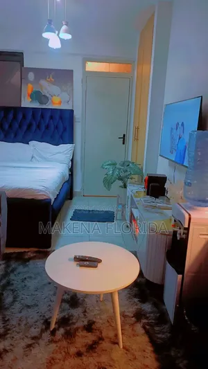 Furnished Studio Airbnb Near TRM, Roysambu