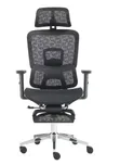 Kiti cha Ofisi cha Ergonomic cha Mgongo Juu - 2