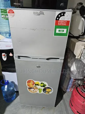 Icecool Fridge Milango Miwili 125L