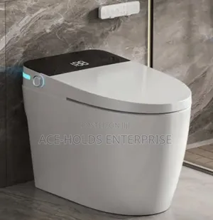 Bolesi Smart Intelligent Toilet Seat ya Sakafuni