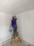 Professional Painting Services - 1