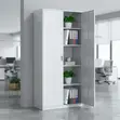 Two-Door Office Document Storage Cabinet - 1