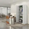 Two-Door Office Document Storage Cabinet - 4