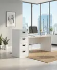Four Drawer Steel Home Office Cabinet - 3