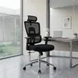 Orthopedic Mesh Office Chair - Black - 1