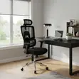 Orthopedic Mesh Office Chair - Black - 2