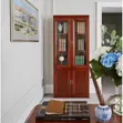 2-Door Half Glass Mahogany Storage Cabinet - 5