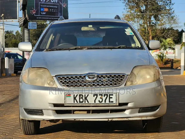 Toyota Corolla Fielder 2003 Silver - 1
