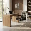 Mid Backrest Professional Office Chairs - 3