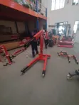 Sunshine Italy Engine Crane Hoist - Modern Design - 1
