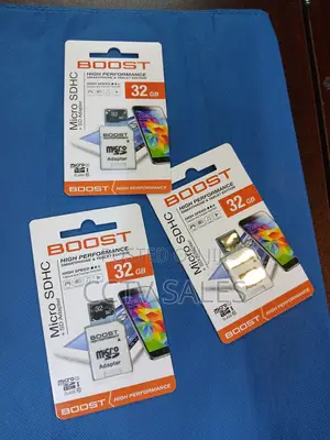 32GB MicroSD Card with SD Adapter
