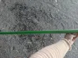 Danco PPR Pipe (3/4 inch) - 2