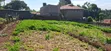 Prime 70x100 Plot for Sale - Kabete Mwimuto - 3