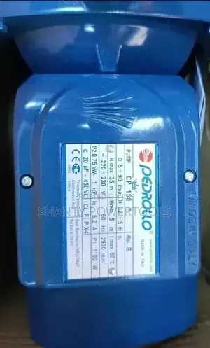Pedrollo Water Pump 1hp