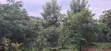 2-Bedroom Bungalow on 2 Acres with Avocado Trees - Kikuyu - 4