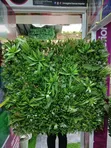 Artificial Wall Panel 1m x 1m - 1