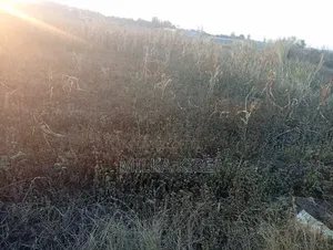 Ruiru Mugutha Land for Sale - 100x100
