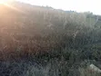 Ruiru Mugutha Land for Sale - 100x100 - 1