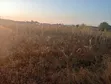 Ruiru Mugutha Land for Sale - 100x100 - 2
