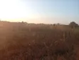 Ruiru Mugutha Land for Sale - 100x100 - 3