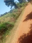 Limuru Nyambari Prime 3.25 Acres for Quick Sale - 3
