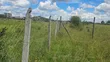 Limuru Nyambari Prime 3.25 Acres for Quick Sale - 4