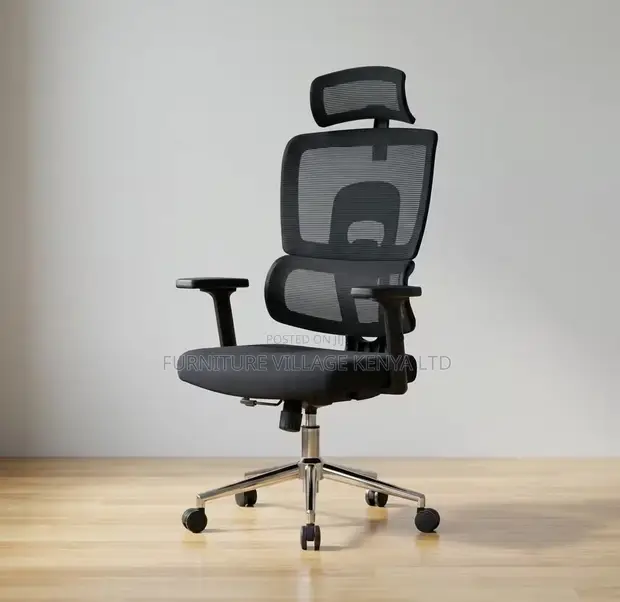 Mesh Executive Orthopedic Office Chair - 1