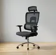 Mesh Executive Orthopedic Office Chair - 1