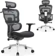 Mesh Executive Orthopedic Office Chair - 3