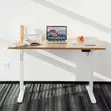 Electric Adjustable Study Desk - 1600mm - 3