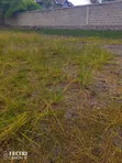 Syokimau Airport Road Residential Plot (1/4 Acre) - 2