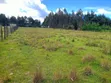 Kinagop Engineer Prime 18 Acres Near Kwangothi Hospital - 4