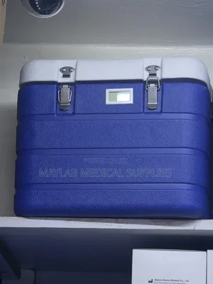 10 Litre Cooler Box - Insulated Portable Ice Box
