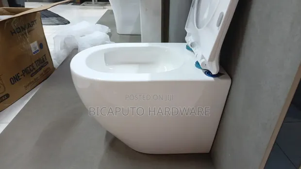 ACE Wall Hung Toilet - 1