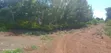 Avocado Farm for Sale - 5 Acres, Kiagu - 4