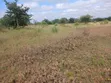 Vipande vya Kanyonyo 50x100 Vinauzwa - 2