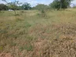 Vipande vya Kanyonyo 50x100 Vinauzwa - 4