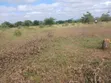 Vipande vya Kanyonyo 50x100 Vinauzwa - 5