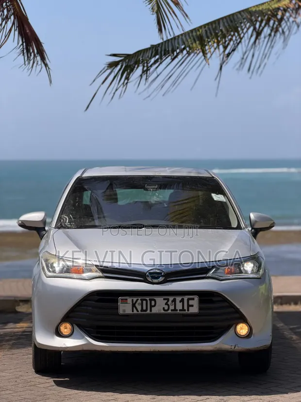 Toyota Axio 2017 Silver - 1
