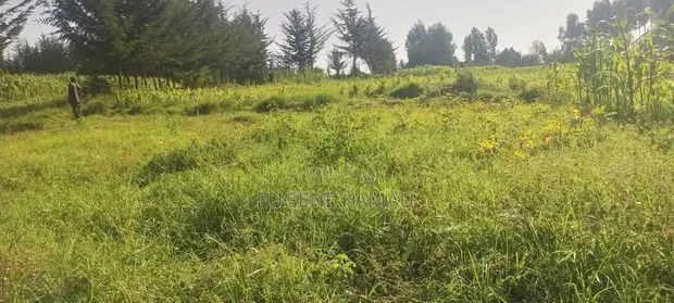 18 Acres Farmland for Sale - Aberdare National Park - 1