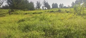 18 Acres Farmland for Sale - Aberdare National Park