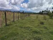 18 Acres Farmland for Sale - Aberdare National Park - 5