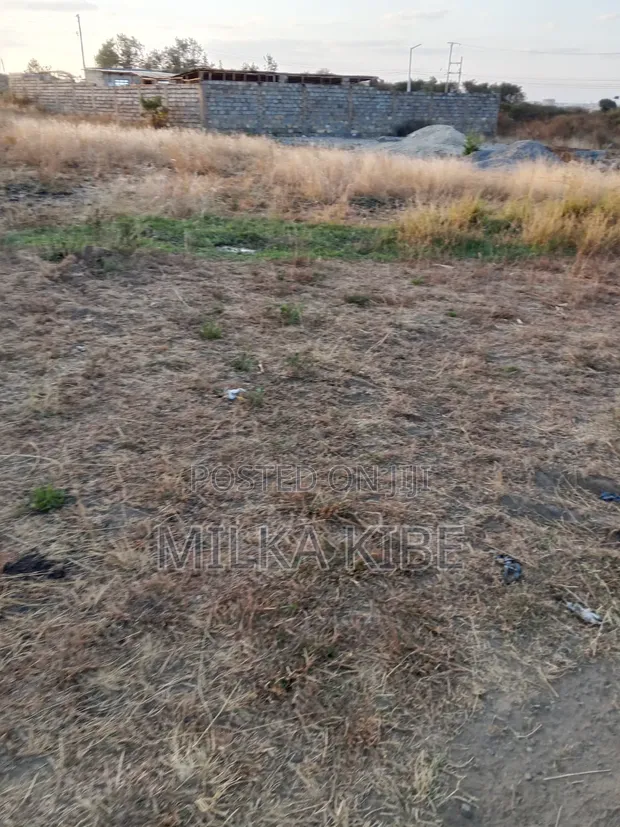 Witeithie Kandara - 100x100 Plot for Sale - 1