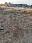Witeithie Kandara - 100x100 Plot for Sale - 1