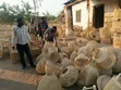 Malawi Chairs - 4