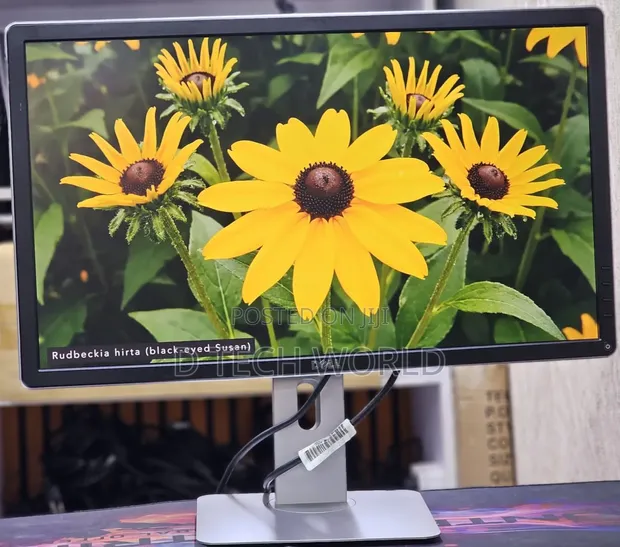 Dell P2414H 24-Inch Framed Monitor - 1